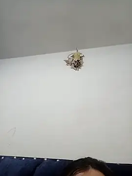 Snapshot of merlinaadams_ chatting on February 2025 03:54:02 AM merlinaadams online show from February 2025 03:54:02 AM