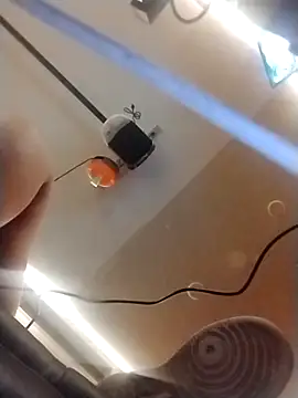 Snapshot of halobabe7620 chatting on October 2025 03:35:02 PM halobabe7620 online show from October 2025 03:35:02 PM