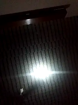 Snapshot of Blackpenis28 chatting on February 2026 10:36:02 AM Blackpenis28 online show from February 2026 10:36:02 AM