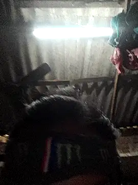 HotSexyBoudi online show from January 2025 08:57:02 AM