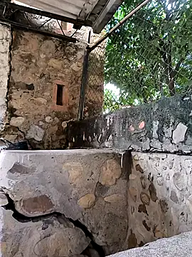 the titis outdoors online show from December 2025 06:37:02 PM