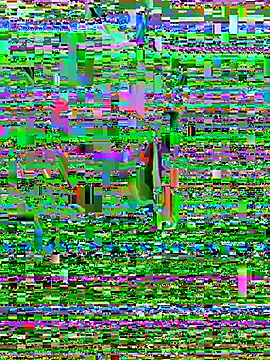 DaddySnowXX online show from May 2026 03:26:01 AM