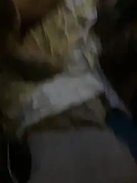 WilldoPita online show from January 2025 09:19:02 AM