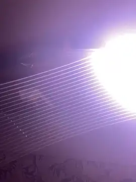 WilldoPita online show from January 2025 07:25:01 AM