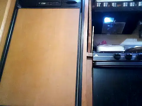 WilldoPita online show from February 2025 11:59:02 PM