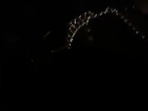 WilldoPita online show from February 2025 12:38:02 PM