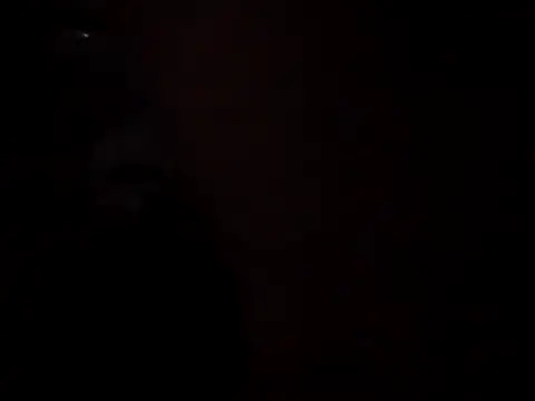 WilldoPita online show from November 2025 10:48:02 AM