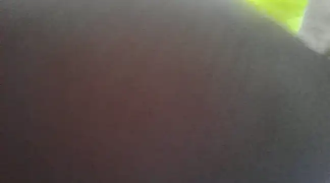 Snapshot of Chitrani- chatting on January 2025 09:37:02 AM Chitrani- online show from January 2025 09:37:02 AM