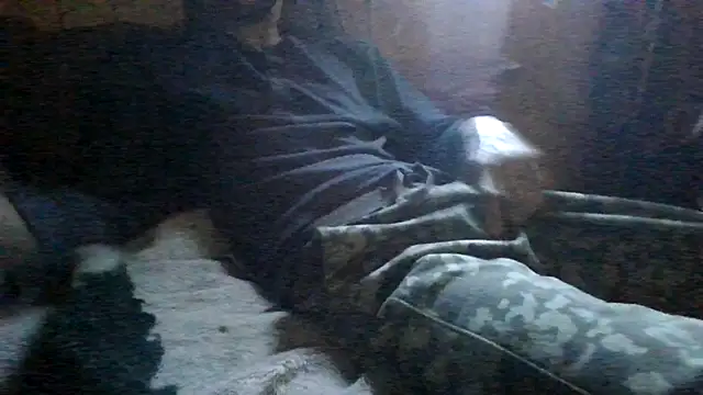 ySqmbVanbe online show from March 2026 03:51:01 PM