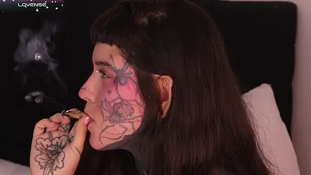 SylveonFox online show from February 2025 02:57:01 PM