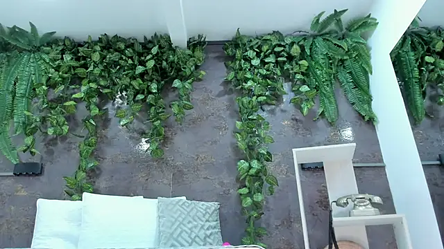 emily hunter12 online show from May 2026 01:50:01 PM