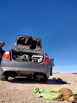 FloppyPickle4u online show from February 2025 09:37:01 PM