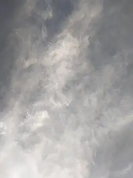 FloppyPickle4u online show from February 2025 11:42:01 PM