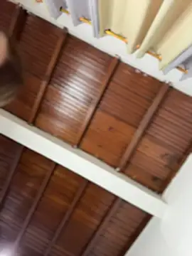 emiss  online show from March 2026 02:24:01 PM