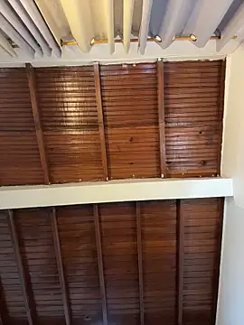 emiss  online show from April 2026 07:30:02 PM