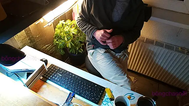 Snapshot of BongChannel chatting on January 2025 10:56:01 PM BongChannel online show from January 2025 10:56:01 PM