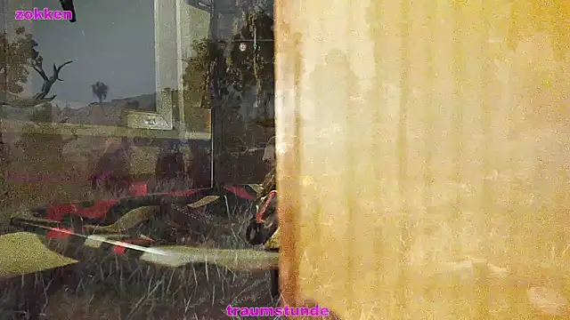 Snapshot of BongChannel chatting on January 2025 06:43:02 AM BongChannel online show from January 2025 06:43:02 AM