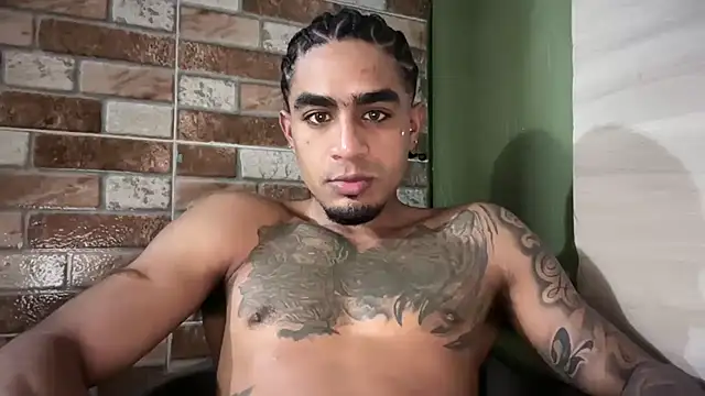 Snapshot of dominic_brandd23 chatting on July 2026 11:48:01 PM dominic brandd23 online show from July 2026 11:48:01 PM