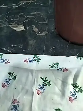 Sexygarl1024 online show from February 2025 08:13:01 PM