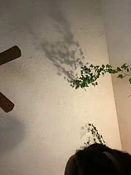 Snapshot of magicalc00ch chatting on January 2025 12:48:02 AM magicalc00ch online show from January 2025 12:48:02 AM