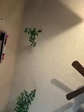 Snapshot of magicalc00ch chatting on March 2025 09:37:01 PM magicalc00ch online show from March 2025 09:37:01 PM