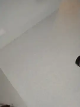 Snapshot of xWhoreAbleX_Pika chatting on November 2025 03:16:01 PM xWhoreAbleX Pika online show from November 2025 03:16:01 PM