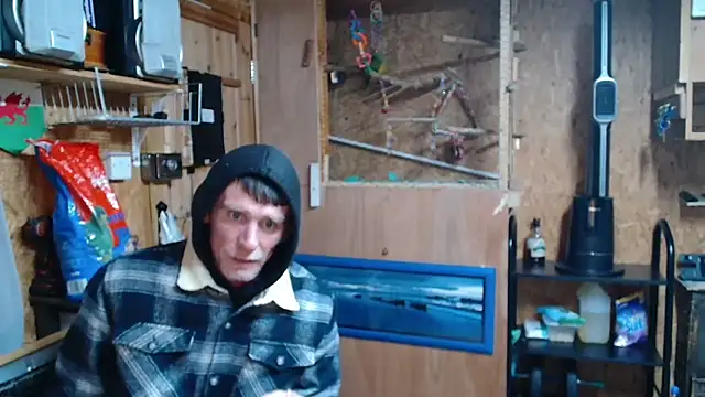 daiwantu online show from May 2026 08:26:02 PM