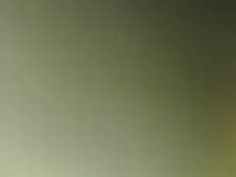 Snapshot of lovense_test04 chatting on March 2025 09:56:01 AM lovense test04 online show from March 2025 09:56:01 AM