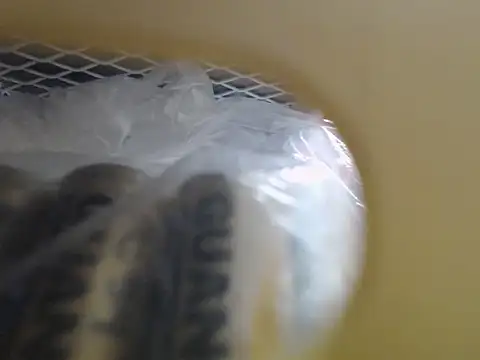 Snapshot of lovense_test04 chatting on October 2025 03:51:02 AM lovense test04 online show from October 2025 03:51:02 AM