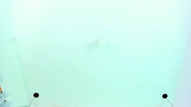 Emily Gil1 online show from January 2025 01:53:02 PM