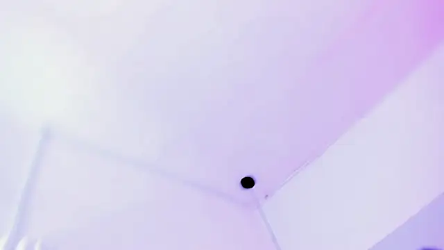 Emily Gil1 online show from February 2025 07:49:01 PM