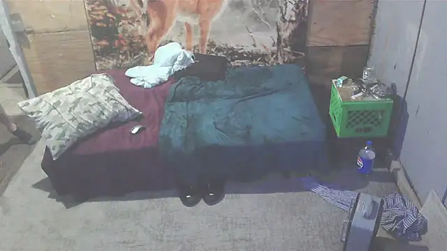 Smurfschmidt online show from January 2025 03:46:01 AM