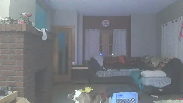 Smurfschmidt online show from February 2026 02:24:01 AM