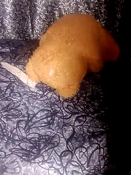 shuhana  online show from January 2025 01:18:02 AM