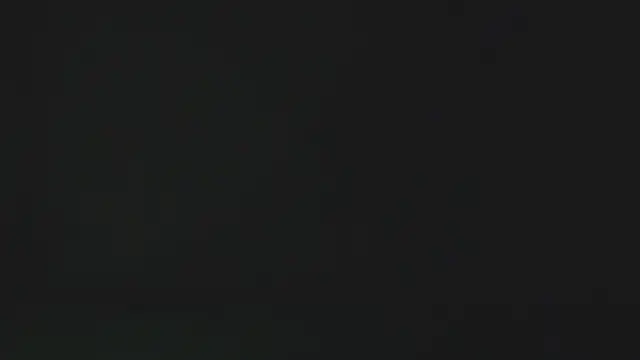 eleecttraa 12 online show from January 2026 10:09:02 AM