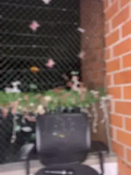 ValerieHilton online show from January 2025 12:18:01 AM