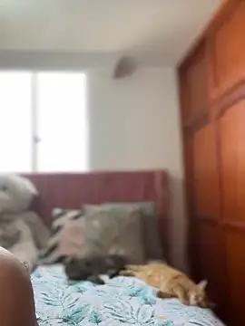 ValerieHilton online show from March 2025 09:13:02 PM