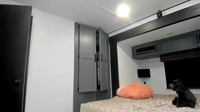 Snapshot of Persiasparadise chatting on February 2026 01:46:02 AM Persiasparadise online show from February 2026 01:46:02 AM