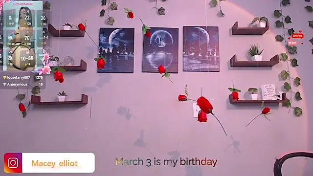 Snapshot of macey_elliot_ chatting on February 2025 06:09:02 PM macey elliot online show from February 2025 06:09:02 PM