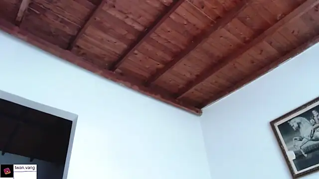 Trix fiore oficial online show from October 2025 09:26:02 PM