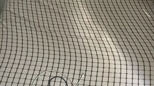 Ceyceys online show from October 2025 10:46:02 AM