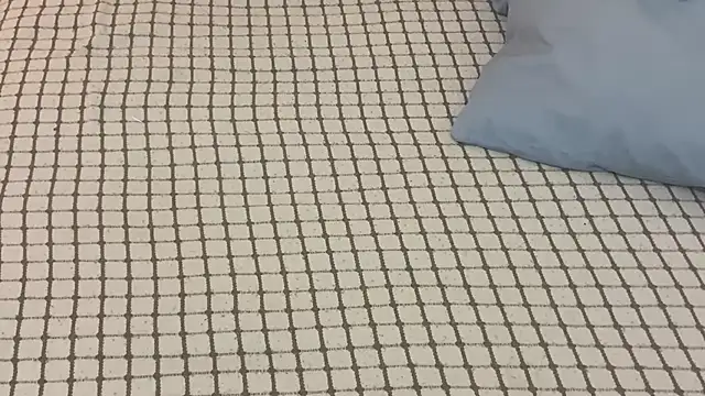 Ceyceys online show from October 2025 04:40:02 PM