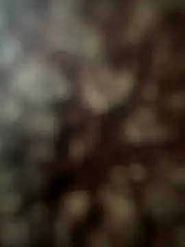 Snapshot of FrutenFratenR9 chatting on November 2025 11:21:02 AM FrutenFratenR9 online show from November 2025 11:21:02 AM