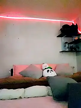 Snapshot of Paudelatorre chatting on February 2026 08:45:01 PM Paudelatorre online show from February 2026 08:45:01 PM