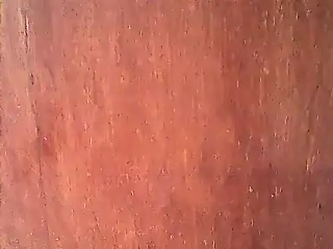 Dirtychubby29 online show from January 2025 04:25:02 AM