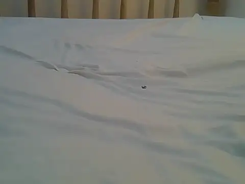 Mercydiva online show from February 2026 07:23:01 AM