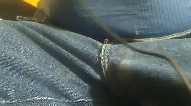 markluvskitty online show from February 2025 04:14:02 PM