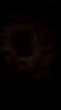 WreckedCrop online show from March 2025 08:29:02 PM