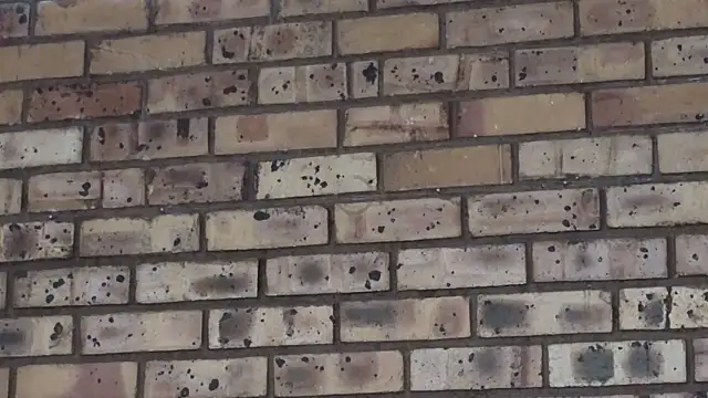 Astoria Moon online show from December 2024 02:15:01 PM