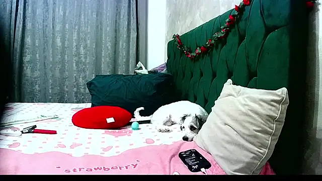 MikySWeet7 online show from June 2026 05:06:02 PM